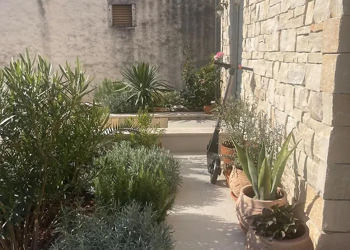 Noemi Vikendica Marcana